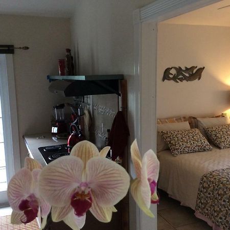 Mediteranean Style Ohana Rental / Garden Bungalow In Pahoa Honolulu Landing Buitenkant foto