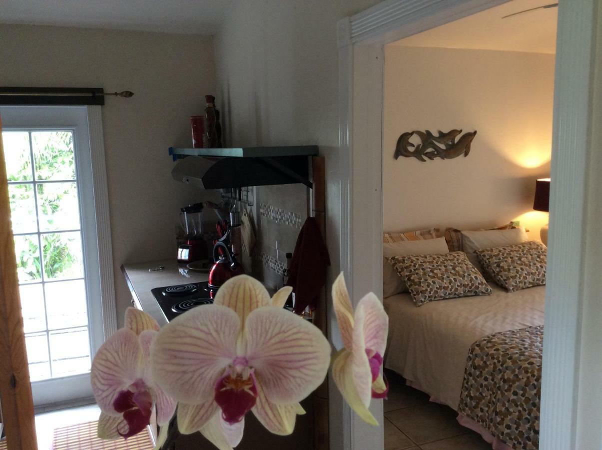 Mediteranean Style Ohana Rental / Garden Bungalow In Pahoa Honolulu Landing Buitenkant foto